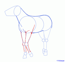 How To Draw Anime Horses Step 6 Anime Drawings Horse Drawings Drawings