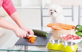My friend has an elderly dog, jasper, who was just diagnosed with diabetes. Tips For Making Home Cooked Dog Food Lovetoknow