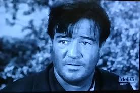 Beverly Washburn appearances in Star Trek and Wagon Train