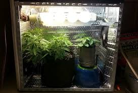 Anleitung für ein abgesenktes gewächshaus. Pc Gehause Grow Box Selber Bauen Grow Box Vergleich Unabhangiger Ratgeber Growschrank