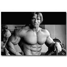 Arnold schwarzenegger is without one the biggest names in bodybuilding, he is an idol to hundreds of thousands of young bodybuilders. Arnold Schwarzenegger Bodybuilding Motivational Silk Poster 13x20 24x36 034 Ebay