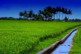 Check spelling or type a new query. Tanah Kedah Perlis Posts Facebook