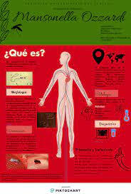Infografia Microorganismo Infographic Poster Untitled