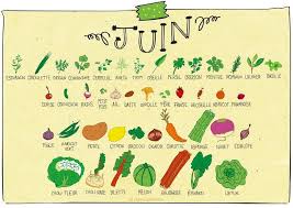 Juin Calendrier Des Fruits Et Legumes Pissenlit Fruits Et Legumes Fruits Fruits Et Legumes De Saison