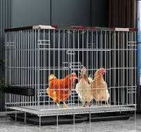 Achetez en gros Cage De Poulet En Bois De Sapin De Chine ...