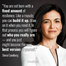 Phenotype Consultancy Services