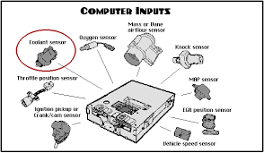 Engine Coolant Sensors