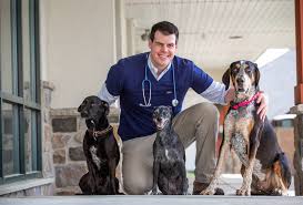 Maybe you would like to learn more about one of these? Veterinarian And Animal Hospital In Chadds Ford Pa Old Ridge Veterinary Hospital