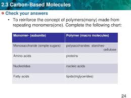 key concept carbon based molecules are the foundation of