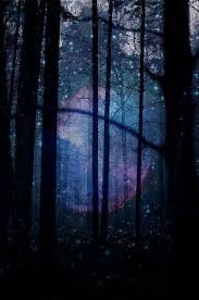 Pin By 100 V Paranormal Carlos Jara On Night Fantasy Forest Scenery Dark forest background karelia forest trees stock photo edit now. pinterest