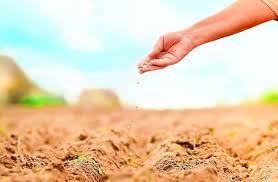 Sowing Methods