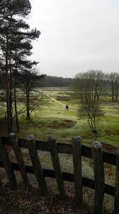 De tafelbergheide is een hoog gelegen heidegebied tussen huizen en laren van ongeveer 74 ha groot dat is gesitueerd in de gemeente huizen. Tafelbergheide Blaricum Noord Holland Landschappen Natuurlijke Verschijnselen Holland