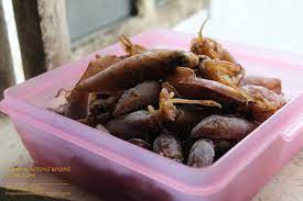 Sambaltumis #sotongkering #sambalnasilemak selamat mencuba ye resepi sambal tumis sotong kering dari masak apa kita. Amie S Little Kitchen Cara Masak Sambal Sotong Kering Cumi Cumi