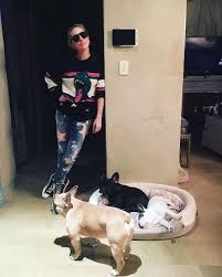 Lady gaga's dog is picked up by her bodyguard at the hollywood lapd station. Lady Gaga S Dog Walker Shot And Her Bulldogs Are Stolen Fashionsizzle