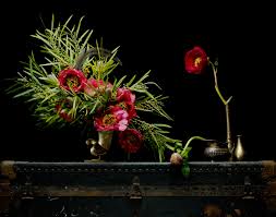 We did not find results for: Emily Thompson Turns The Cultivated Organic World Into Art