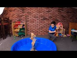 Science Experiment Pepsi Vs Mentos Pepsi Goes Higher Than Coke Youtube In 2020 Science Experiments Pepsi Experiments