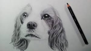 What about a realistic dog? Drawing A Dog Puppy Time Lapse Youtube