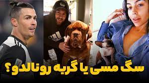 به گزارش همشهری آنلاین به نقل از فارس، سرهنگ علی همه‌خانی معاون آموزش و فرهنگ ترافیک پلیس راهور پایتخت با اعلام اجرای طرح موتورسوار خوب در شهر تهران گفت: Ø³Ú¯ ØºÙˆÙ„ Ù¾ÛŒÚ©Ø± Ù…Ø³ÛŒ ÛŒØ§ Ú¯Ø±Ø¨Ù‡ Ø±ÙˆÙ†Ø§Ù„Ø¯Ùˆ Youtube