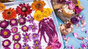 There are two ways to press flowers, and both methods have worked well for me. Shirley S Tips To Dry And Preserve Flowers Youtube