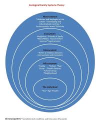 Ecological Family Systems Theory In 2020 Family Systems Systems Theory Cognitive Development