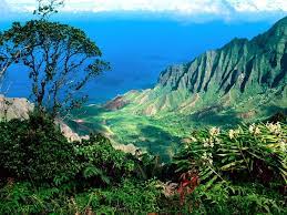 Dennis fujimoto / the garden island. Moving To Hawaii Kaua I The Garden Isle Moving Insider