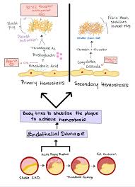 Image result for Anticoagulation