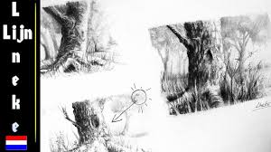 Hoe Teken Je Een Boom Met Houtskool En Grafiet Potlood In Stappen Realistische Tekening Portretten Tekenen Houtskooltekening