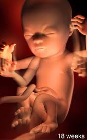 Pin On Pregnancy