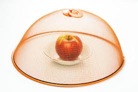 Steinmarder sind nachtaktiv und gelten als sehr scheu. Kleine Fliegen Im Haus Das Hilft Gegen Die Minifliegen Gartendialog De