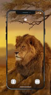Lion 4k wallpaper for mobile from the above 1082x1922 resolutions which is part of the 4k wallpapers directory. Lion Wallpapers Angry 4k Hd Lion Pictures For Android Apk Download