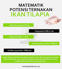 Waktu pengukuran anda tentukan sendiri setelah beberapa hari pakai, umpama 2 minggu. 1 Kolam 5 Angka Matematik Potensi Ternakan Ikan Tilapia Hijau Khidir