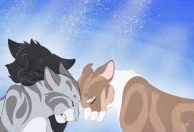 warriorscats hollyleaf jayfeather and leafpool ostrolistaya vorobej i listvichka warrior cats fan art warrior cats art warrior cats