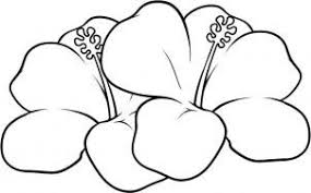 How To Draw Hawaiian Flowers Step 7 Hawaiian Flower Drawing Flower Drawing Flower Coloring Pages
