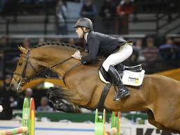 The Sport Horse Show And Breed Database Vulkano Frh