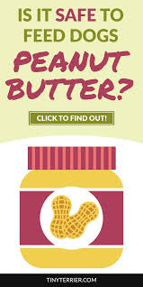 Can Dogs Eat Peanut Butter Is It Safe Peanut Butter For Dogs Can Dogs Eat Frozen Dog Treats