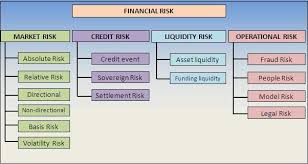 Financial Risk Financial Risk Manager Risk Management Accounting Education