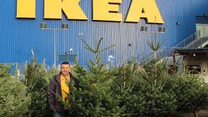 Bio Weihnachtsbaume Bei Ikea Piste Rostock