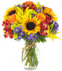 Order and send flowers to tallahassee, fl. Sandra S Flower Basket E Lafayette Strett Tallahassee Fl 32301