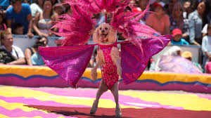 National beim führenden marktplatz für gebrauchtmaschinen kaufen. Did Mexico Ban Circus Animals Ctv News