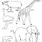 Push pack to pdf button and download pdf coloring book for free. Habitats Biomes Coloring Nature