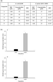 Image result for Cleistochlamys