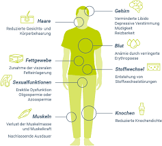 Hormonspezialisten: Testosteronmangel beim Mann