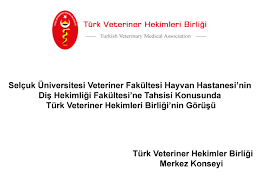 Cavit kum ve öğretim üyeleri katıldı. Selcuk Universitesi Veteriner Fakultesi Hayvan Hastanesi Nin Dis Hekimligi Fakultesi Ne Tahsisi Turk Veteriner Hekimleri Birligi
