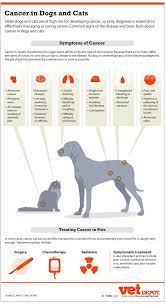 The following are common ways in which dogs tell us they're sick. A List Of Good Dog Supplements To Prevent Cancer Dogfoodinsider