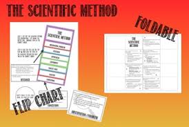 scientific method flip chart foldable