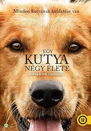 Sok kalandos, vicces és megható élmény varázsol el minden mozizni vágyót!. Egy Kutya Negy Elete A Dog S Purpose Online Filmek Me Filmek Sorozatok Teljes Film Adatlapok Magyarul