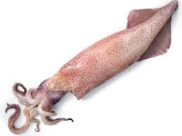 La differenza tra totani e calamari. Come Pulire I Calamari Cucinare Facile