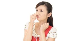 Check spelling or type a new query. 7 Jenis Bau Badan Pertanda Kondisi Kesehatan