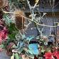 Autumnal Halloween Living wreath — Cornish Wreat... event in Truro