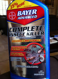 The 14 best bed bug killer sprays comparison review updated 2021 buyer's guide. Black Bugs Aquarium Advice Aquarium Forum Community